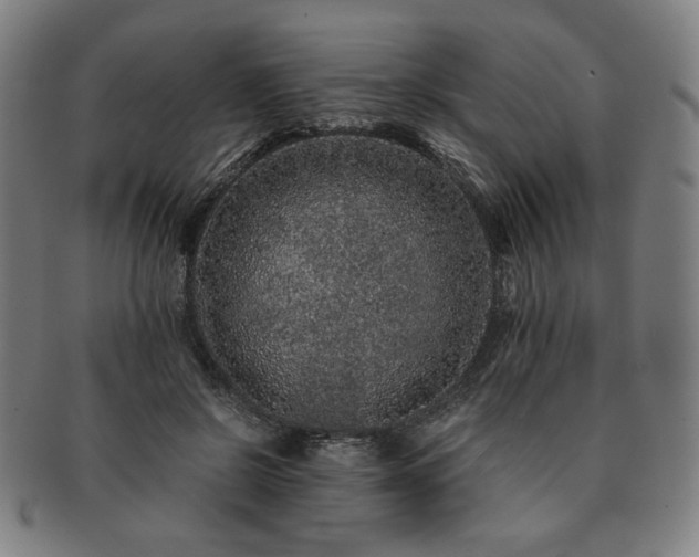X0000091450550200708231257