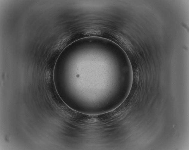 X0000091450551200708231257