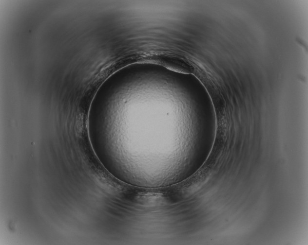 X0000091450554200708231257