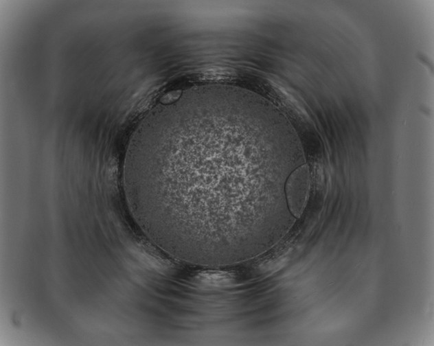X0000091450557200708231257