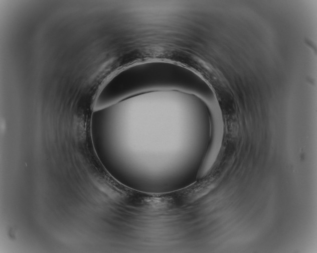 X0000091450558200708231257