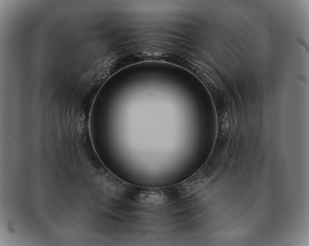 X0000091450559200708231257
