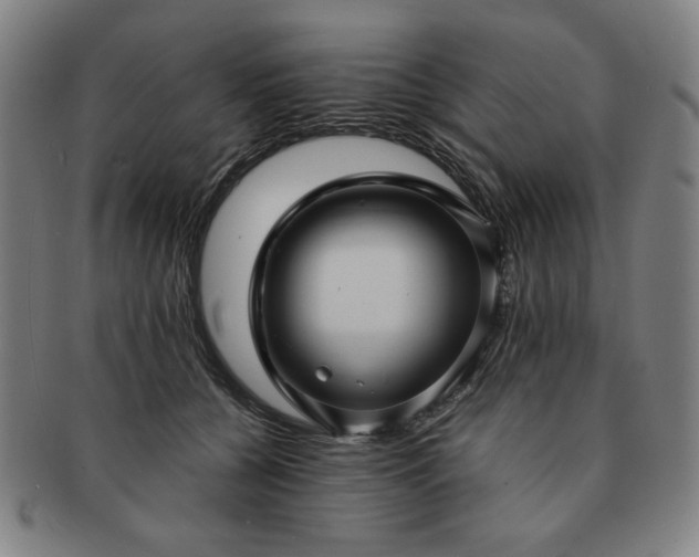 X0000091450560200708231257