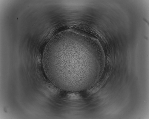 X0000091450561200708231257