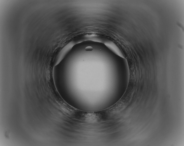 X0000091450562200708231257
