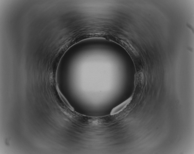 X0000091450564200708231257
