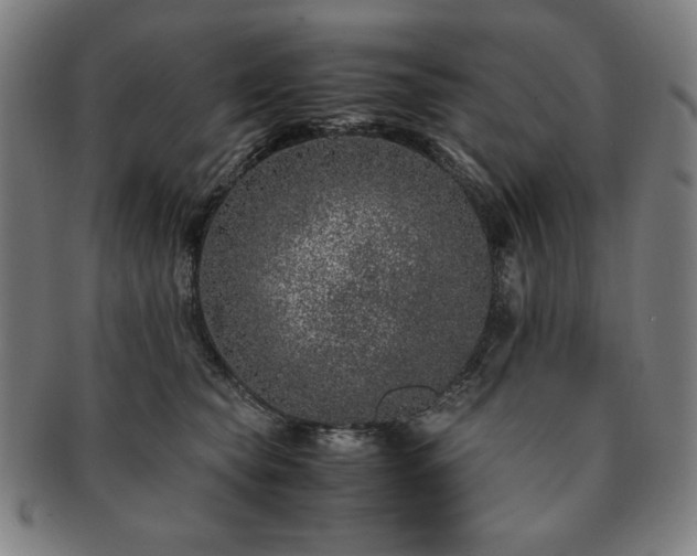 X0000091450565200708231257