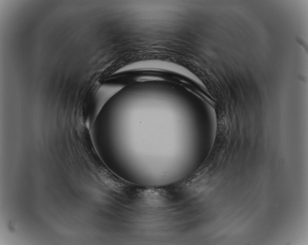 X0000091450566200708231257