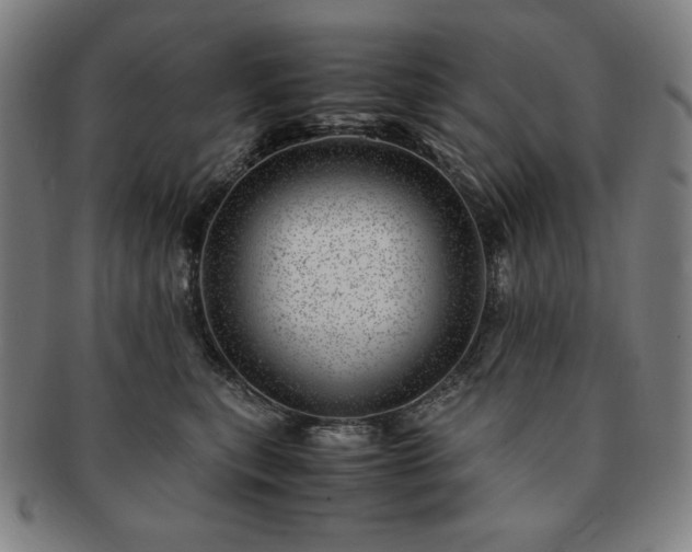 X0000091450567200708231257