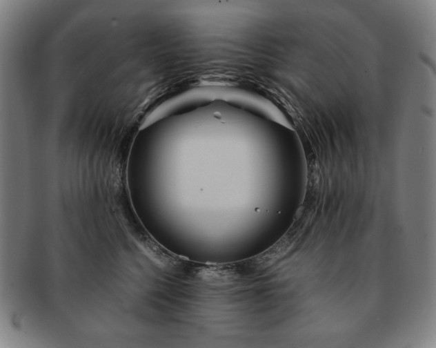 X0000091450568200708231257