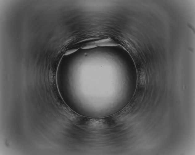 X0000091450569200708231257