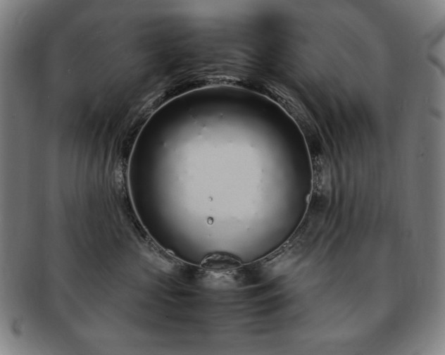 X0000091450573200708231257