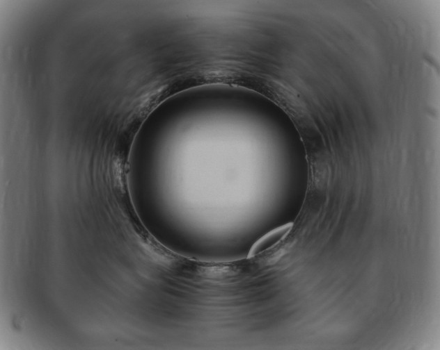 X0000091450575200708231257