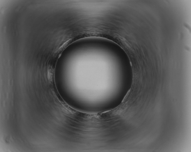 X0000091450576200708231257