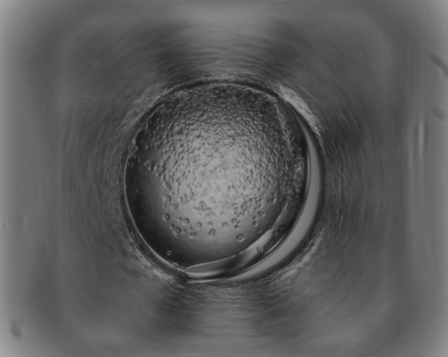 X0000091450577200708231257