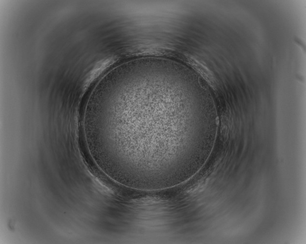 X0000091450578200708231257