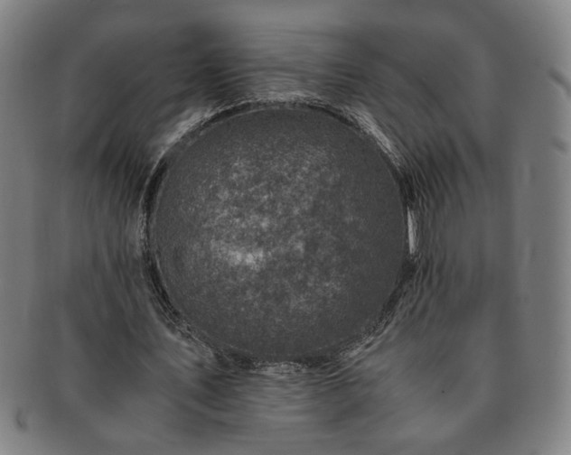 X0000091450579200708231257