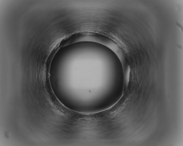 X0000091450580200708231257