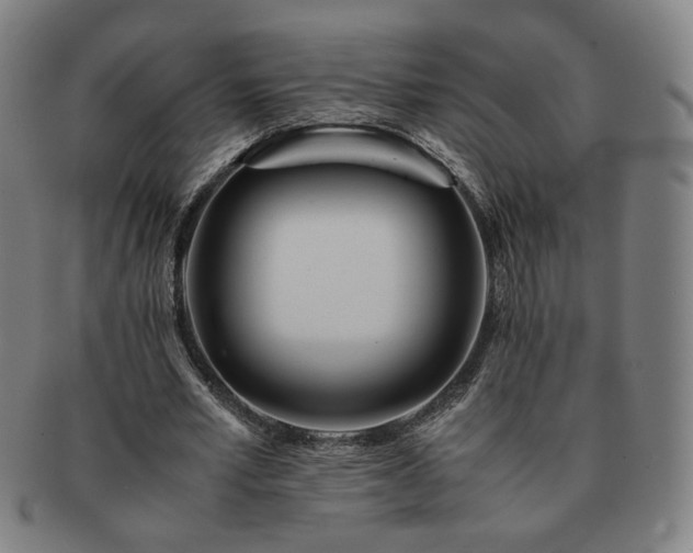 X0000091450581200708231257