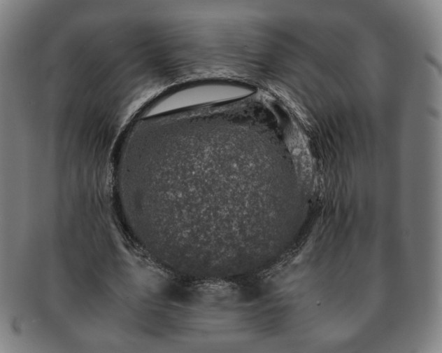 X0000091450583200708231257
