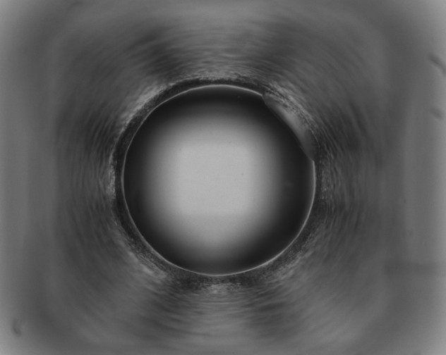 X0000091450584200708231257