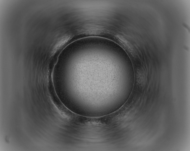 X0000091450586200708231257