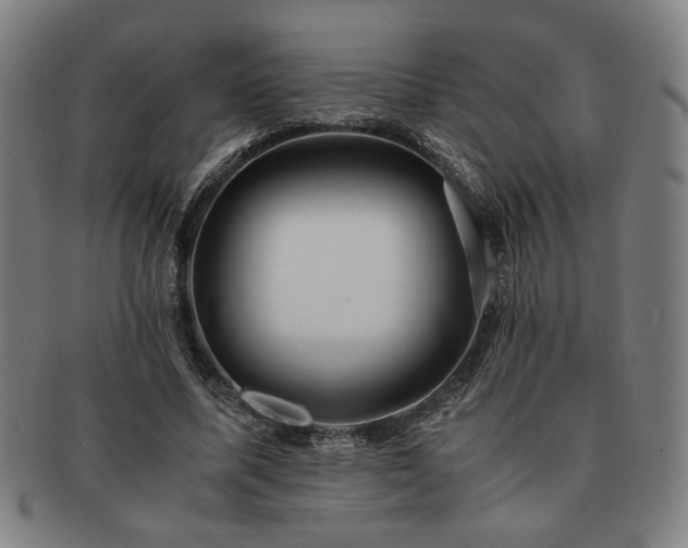 X0000091450587200708231257
