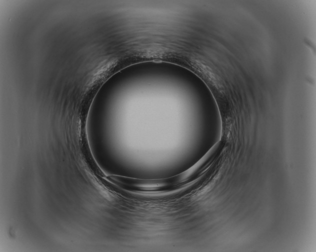 X0000091450589200708231257