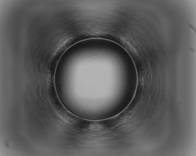 X0000091450591200708231257