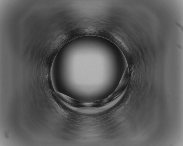X0000091450593200708231256