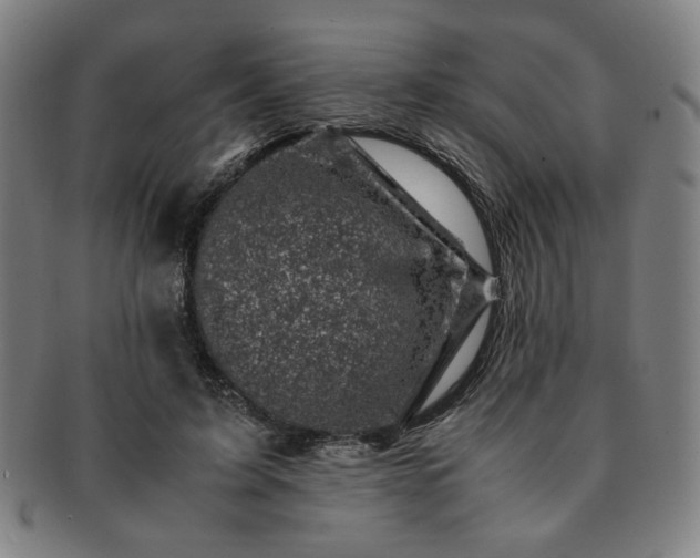 X0000091450595200708231256
