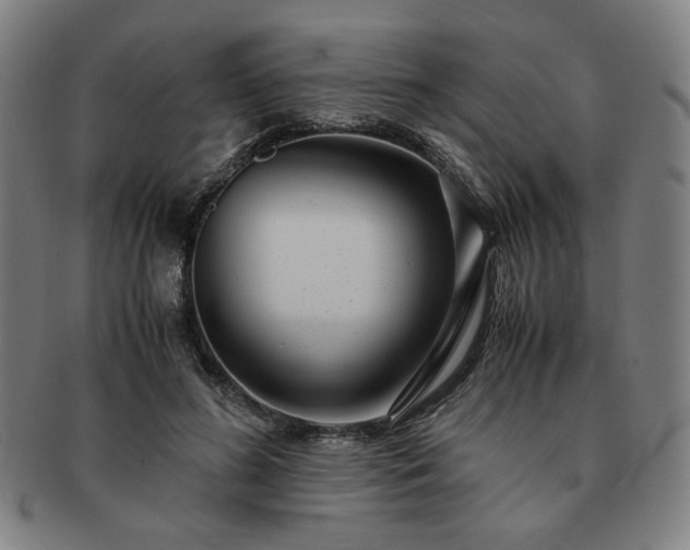 X0000091450596200708231256