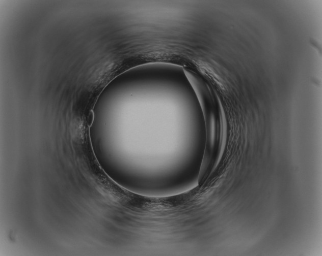 X0000091450597200708231256
