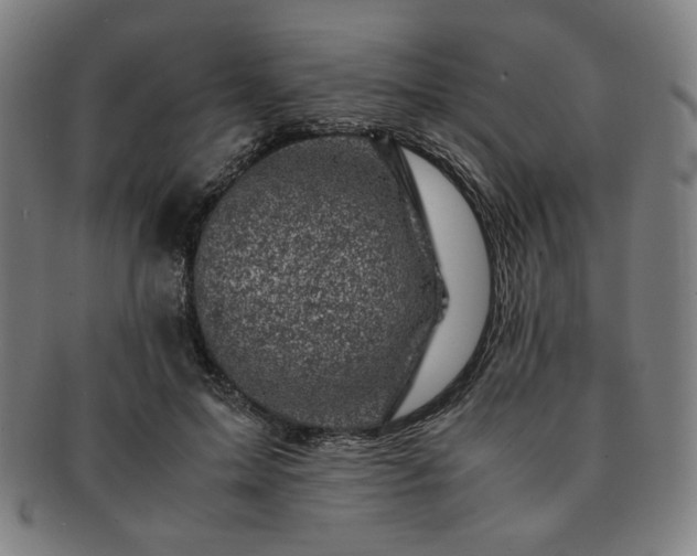 X0000091450599200708231256