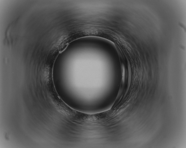 X0000091450600200708231256
