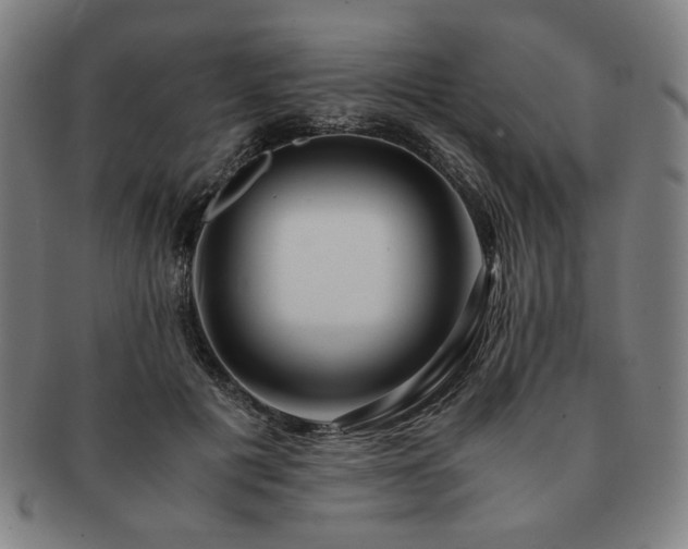 X0000091450601200708231256
