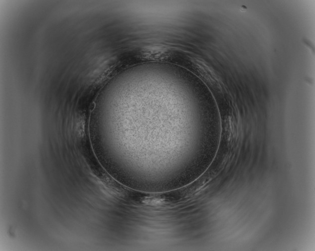 X0000091450602200708231256