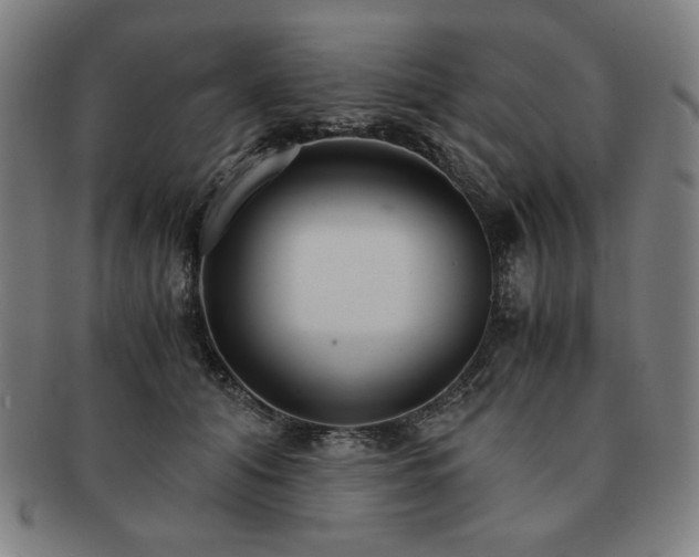 X0000091450608200708231256
