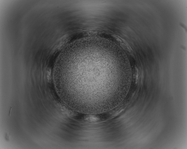 X0000091450610200708231256