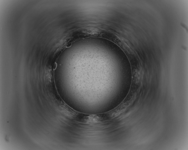 X0000091450612200708231256