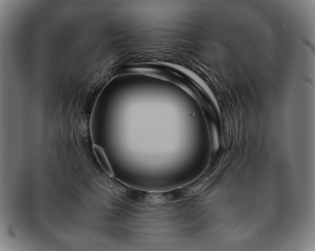 X0000091450613200708231256