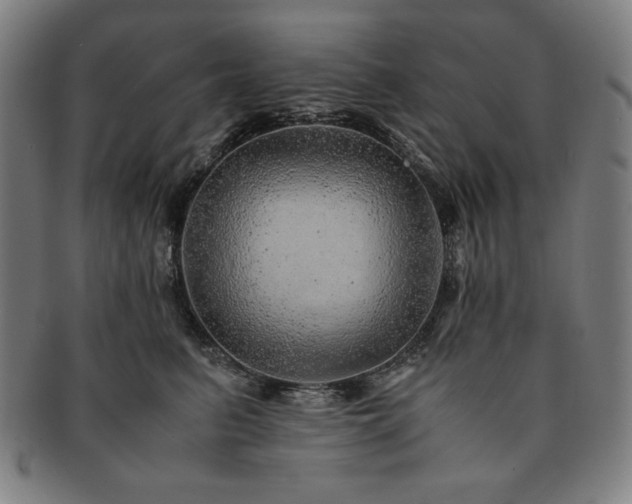 X0000091450615200708231256