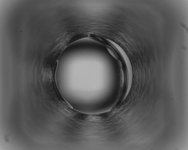 X0000091450617200708231256