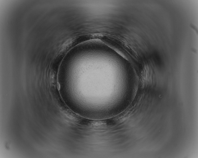 X0000091450619200708231256