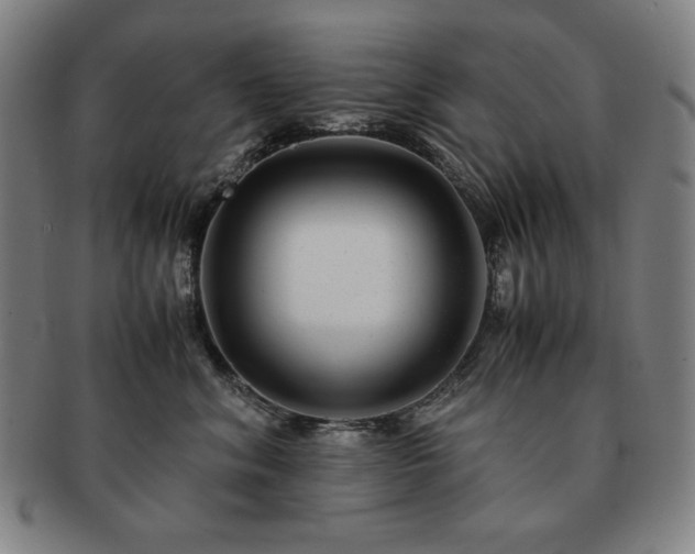 X0000091450620200708231256
