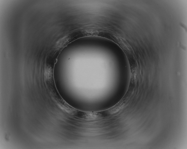 X0000091450623200708231256