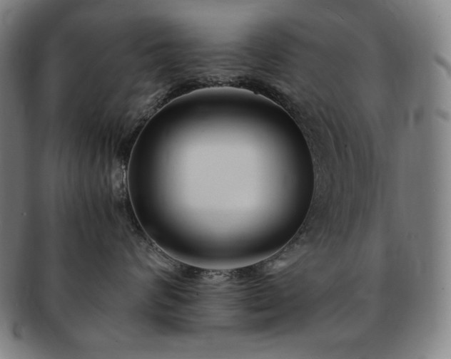 X0000091450624200708231256