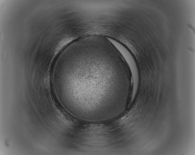 X0000091450626200708231255
