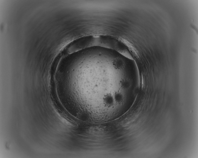 X0000091450627200708231255