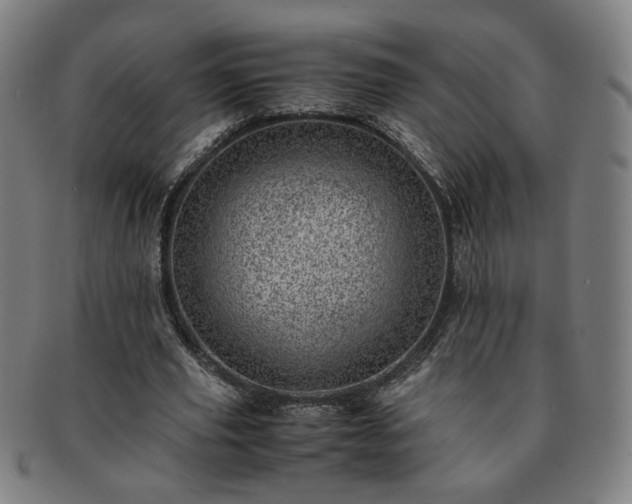 X0000091450629200708231255